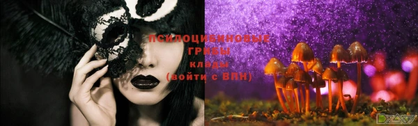 амф Белокуриха