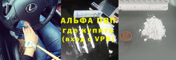 амф Белокуриха